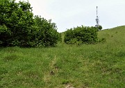 13 Poco dopo salgo a dx traccia di sentierino per il ripetitore
